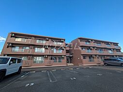 セントフィールド