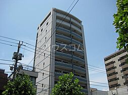 ニューボンデージ