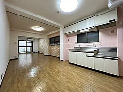 ハイツキンリュウ