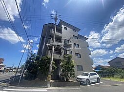 レジーナマルフク