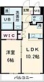 アルフィーネ桜上水7階16.8万円