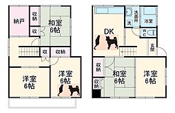 ネコと子犬のワルツ