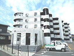 ＰＲＩＭＥＲＡ　ＭＴ