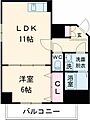 グランデゥール住吉壱番館13階9.0万円