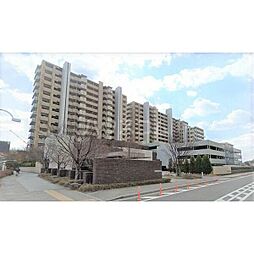 アリーナシティ