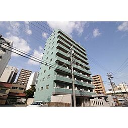 パールコートIII 1103