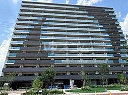 ハルモシティ 1517