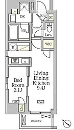 アジールコート松濤 8階1LDKの間取り