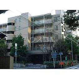 コルテ・フロリーダ豊玉