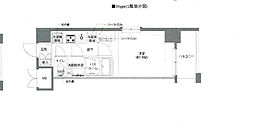 AELL亀有 6階1Kの間取り