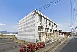 フォルトゥーナ 204