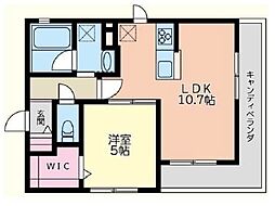 Ｈ＆Ｋ当代島 2階1LDKの間取り
