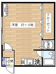 パインクラタ 102