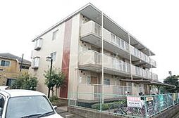 サングリーン11