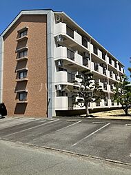 ハイライフ花中