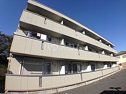 京成金町線 柴又駅 徒歩5分の賃貸アパート