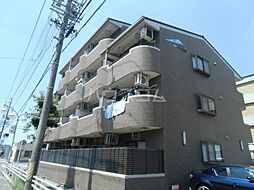 シャドーラム 204