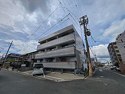 レクセルヒカリ