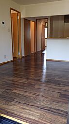 埼玉新都市交通 東宮原駅 徒歩10分の賃貸アパート 1階2LDKのリビング/ダイニング