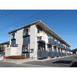 アムールｇｅｒｍｅｒ