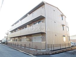 シトラスコート