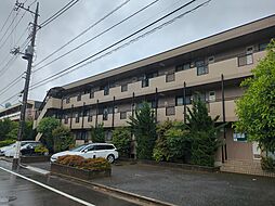 グレイスコート