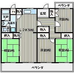 第2スカールハイツ 3階/-