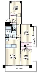 テラス本八幡 3LDKの間取り