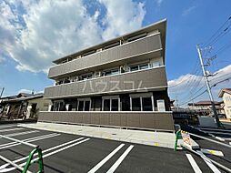 ラナンキュラス 302