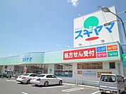 【ドラッグストア】ドラッグスギヤマときわ店まで1293ｍ