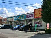 【ドラッグストア】ドラッグエース 岡店まで851ｍ
