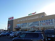 【スーパー】ヨークマート 北金目店まで6143ｍ
