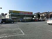 【スーパー】ジャパン狭山店まで3816ｍ