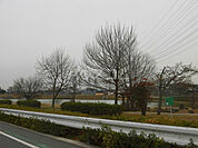 【公園】大蔵池公園まで4031ｍ