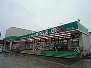 【ドラッグストア】ドラッグセイムス白子店まで809ｍ