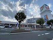 【スーパー】イトーヨーカドー　南流山店まで731ｍ