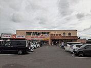 【スーパー】とりせん佐野西店まで1061ｍ