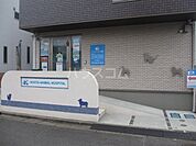 【動物病院】コータどうぶつ病院まで469ｍ