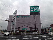 【インテリア】ニトリ 松戸店まで867ｍ