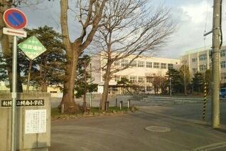 画像9:幌南小学校(小学校)まで201m