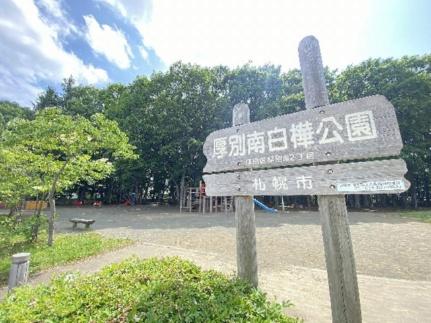 画像17:厚別南白樺公園(公園)まで411m