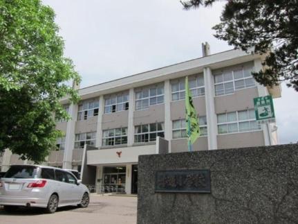 画像17:函館市立本通小学校(小学校)まで509m