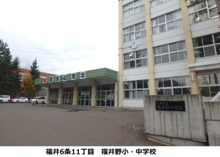画像18:福井野小学校(小学校)まで767m