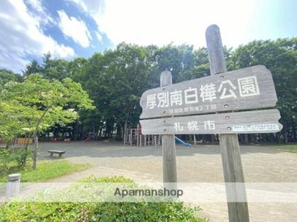 画像4:厚別南白樺公園(公園)まで1251m