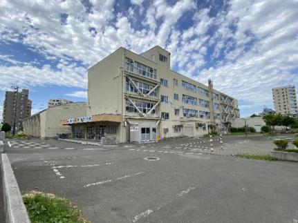 画像18:札幌市立豊平小学校(小学校)まで289m