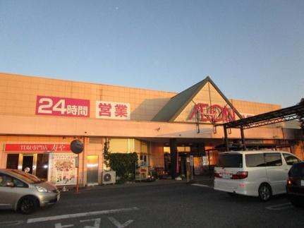 画像13:イオン那珂町店(スーパー)まで280m