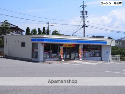 画像18:ローソン飯田丸山町店(コンビニ)まで241m