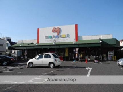 画像17:ミートプラザ高鷲店(スーパー)まで342m