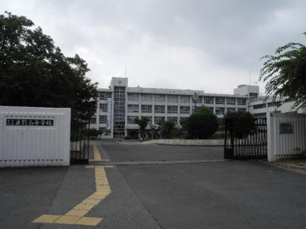 画像14:大阪府立平野高等学校(高校・高専)まで1080m