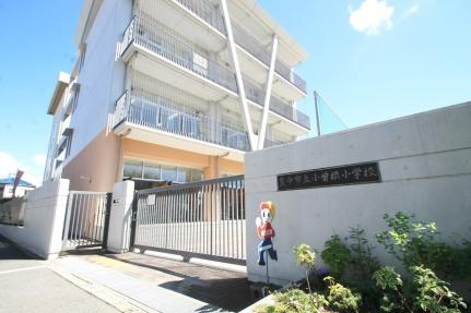 画像10:小曽根小学校(小学校)まで20m